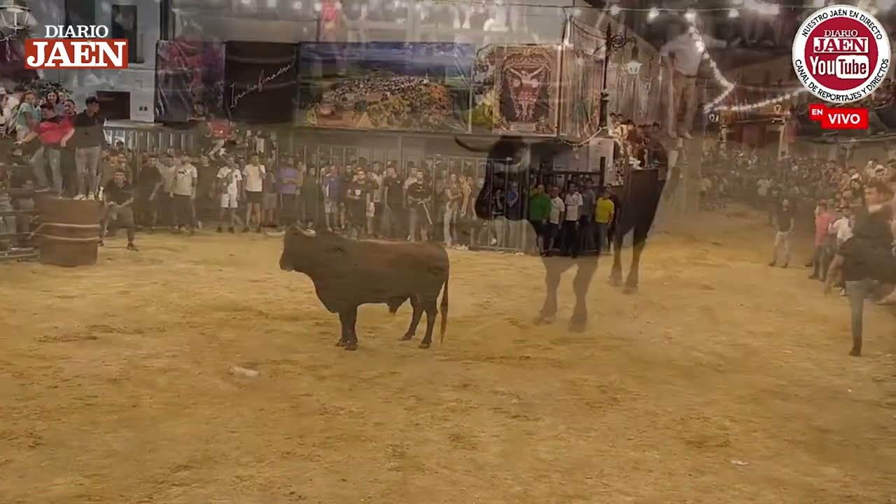 Videoresumen: Encierros nocturnos en Iznatoraf (04.09.25)