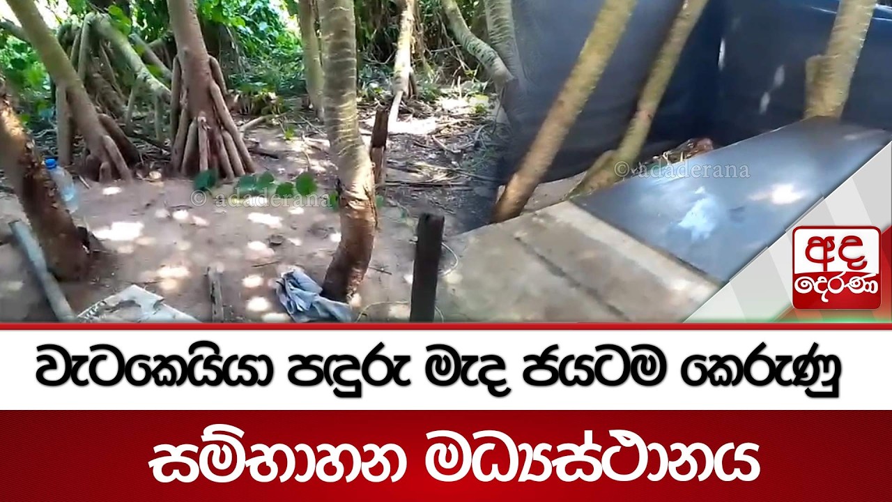 වැටකෙයියා පඳුරු මැද ජයටම කෙරුණු සම්භාහන මධ්‍යස්ථානය | Ada Derana