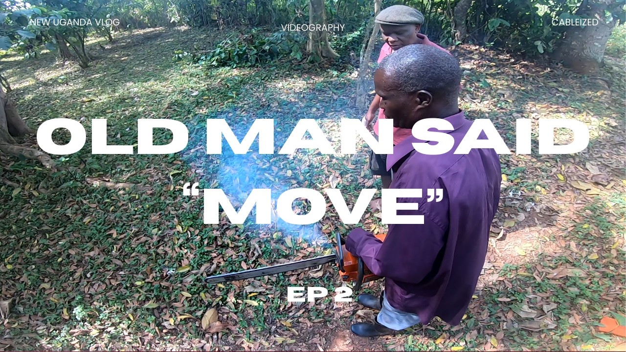 I Tried Doing Tree Work in Uganda… With Their Chainsaws