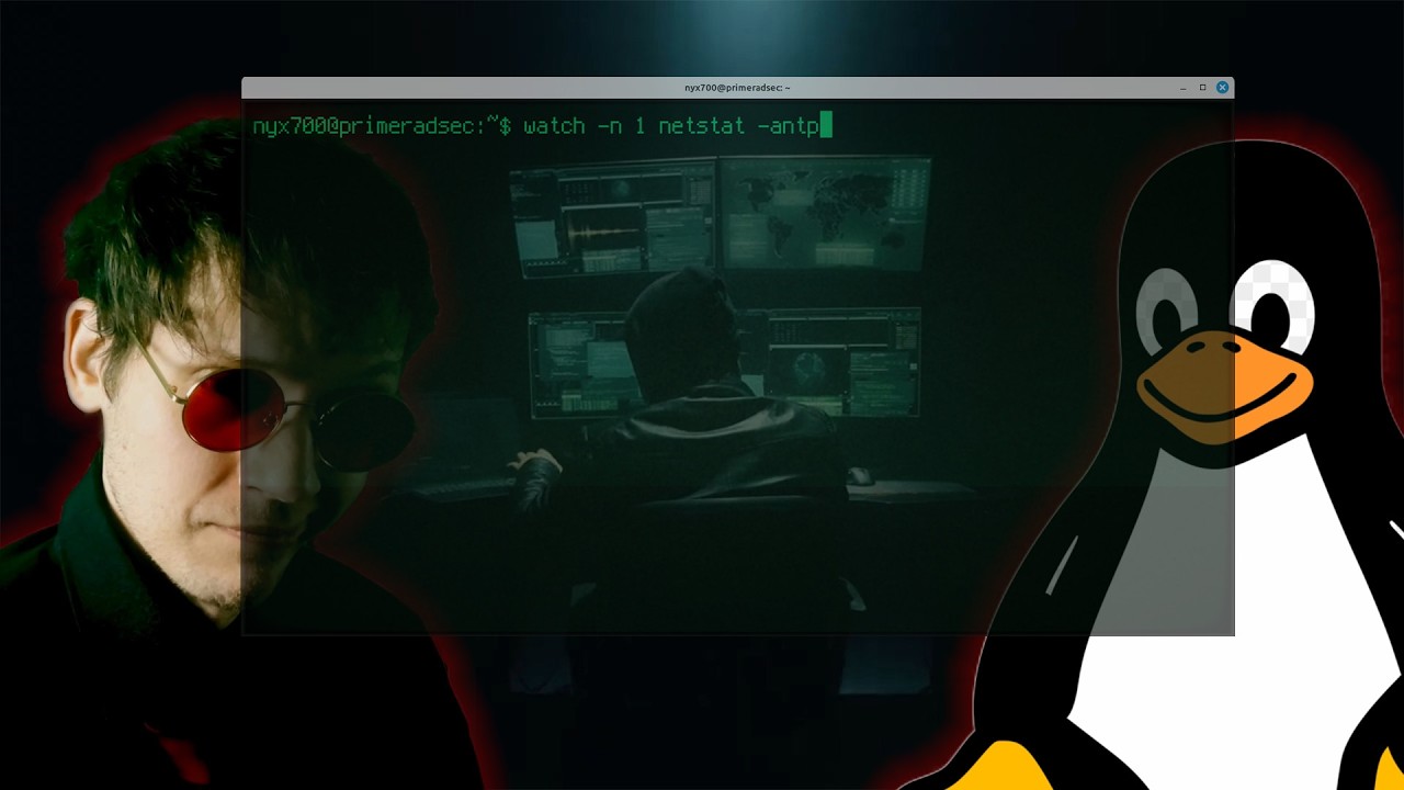 60 Comandi Di Linux Che DEVI Conoscere (In Meno Di 30 Minuti)