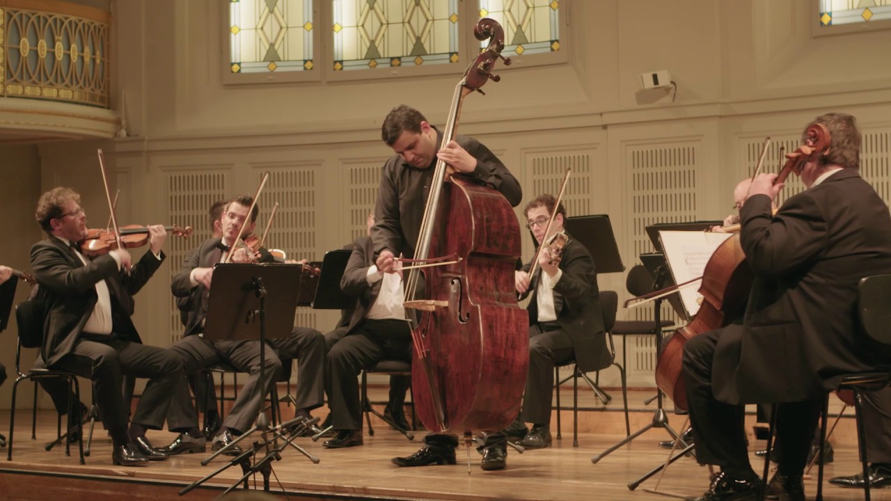 Ödön Racz: Dittersdorf Concerto in E major for Double bass III. Allegro Double Bass