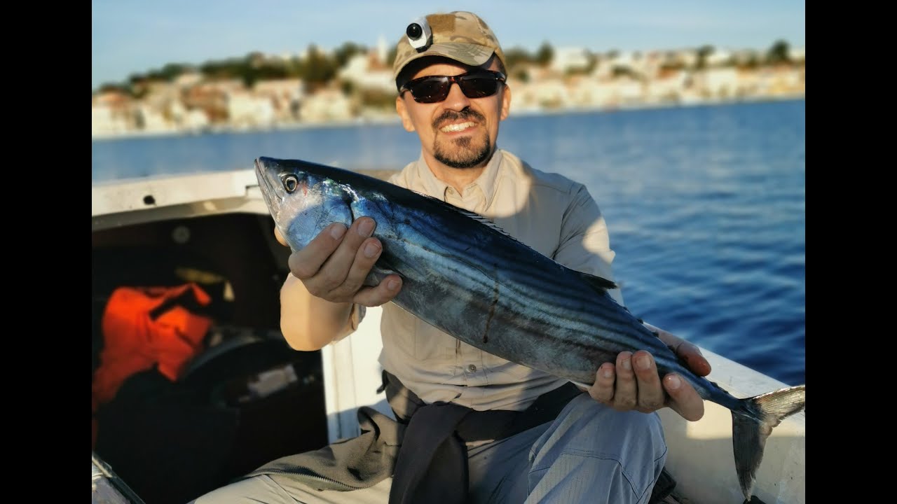Palamida na povrsinca - Bonito feeding frenzy on topwater lure Jack Fin Stylo 220