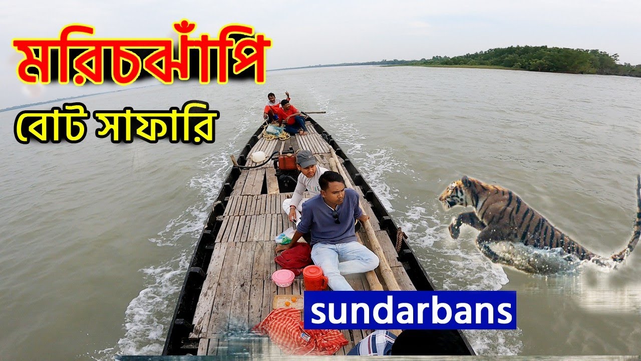 বাঘের জঙ্গলের 🐅ভয়ংকর এরিয়া থেকে ঘুরে এলাম | Marichjhapi jungle | Sundarban boat Safari |  tiger