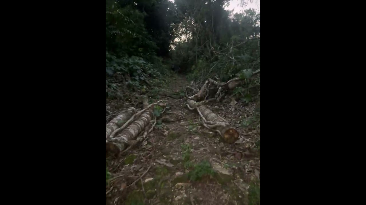 Mi walking from behind Chinese shop to banner Hill