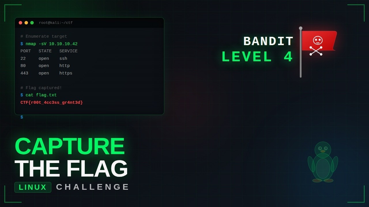 Linux Hacking: OverTheWire | Bandit Level 4
