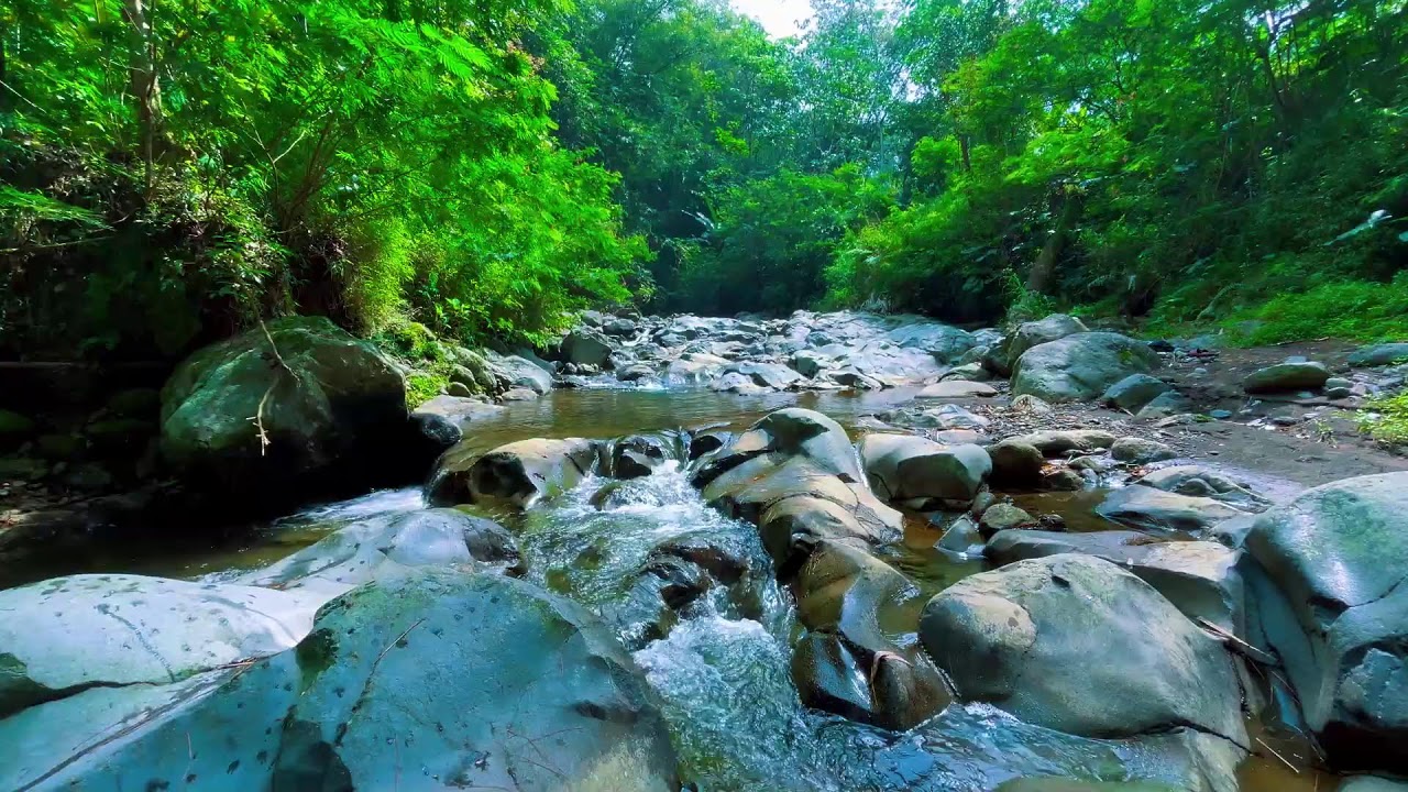 Beat Stress in Minutes to Deep Sleep with Rapids River Sounds Flowing Close-Up Over Natural Rocks