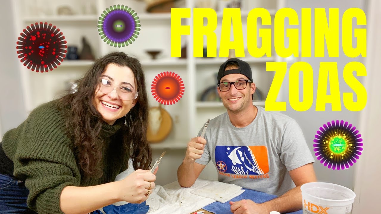 LEARNING HOW TO FRAG ZOAS !!