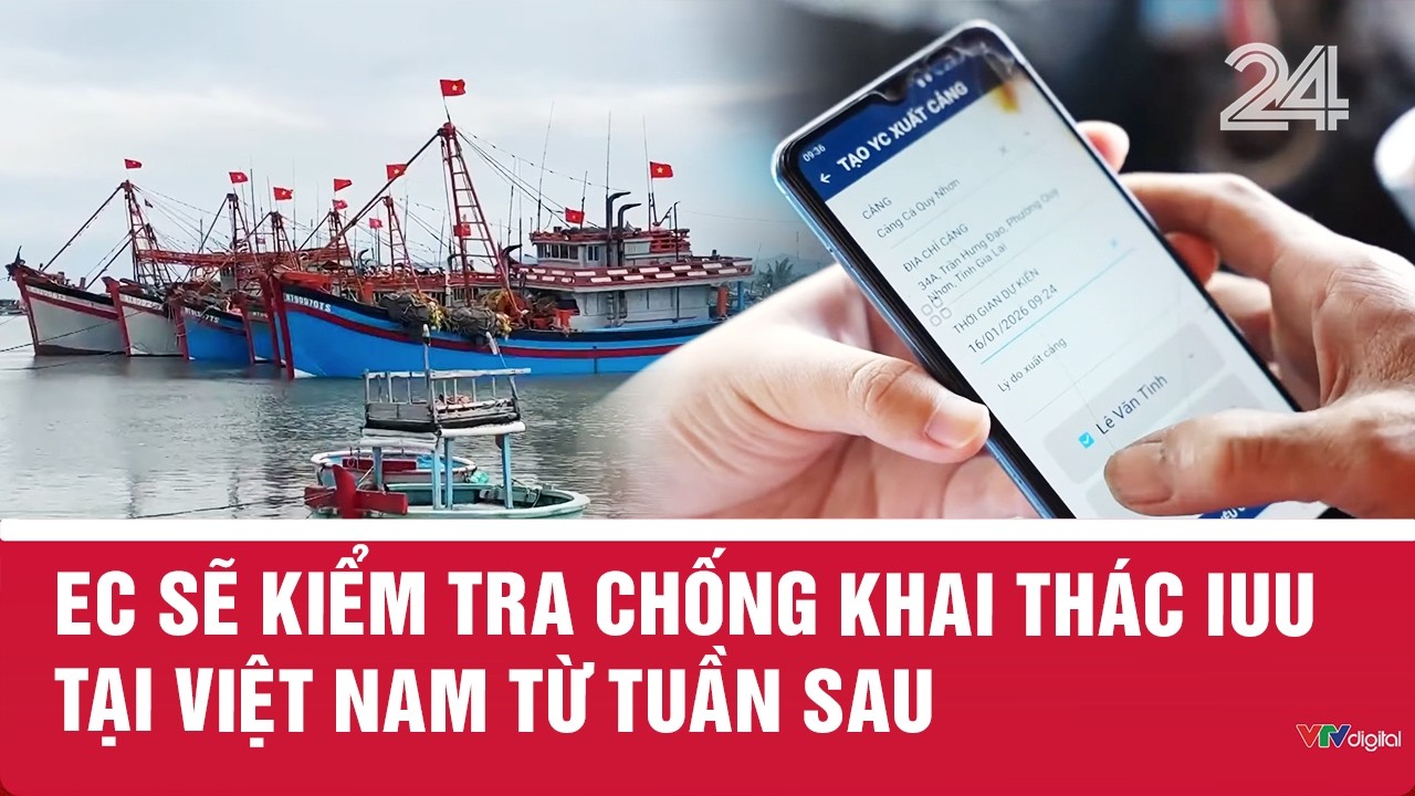 EC sẽ kiểm tra chống khai thác IUU tại Việt Nam từ tuần sau | VTV24