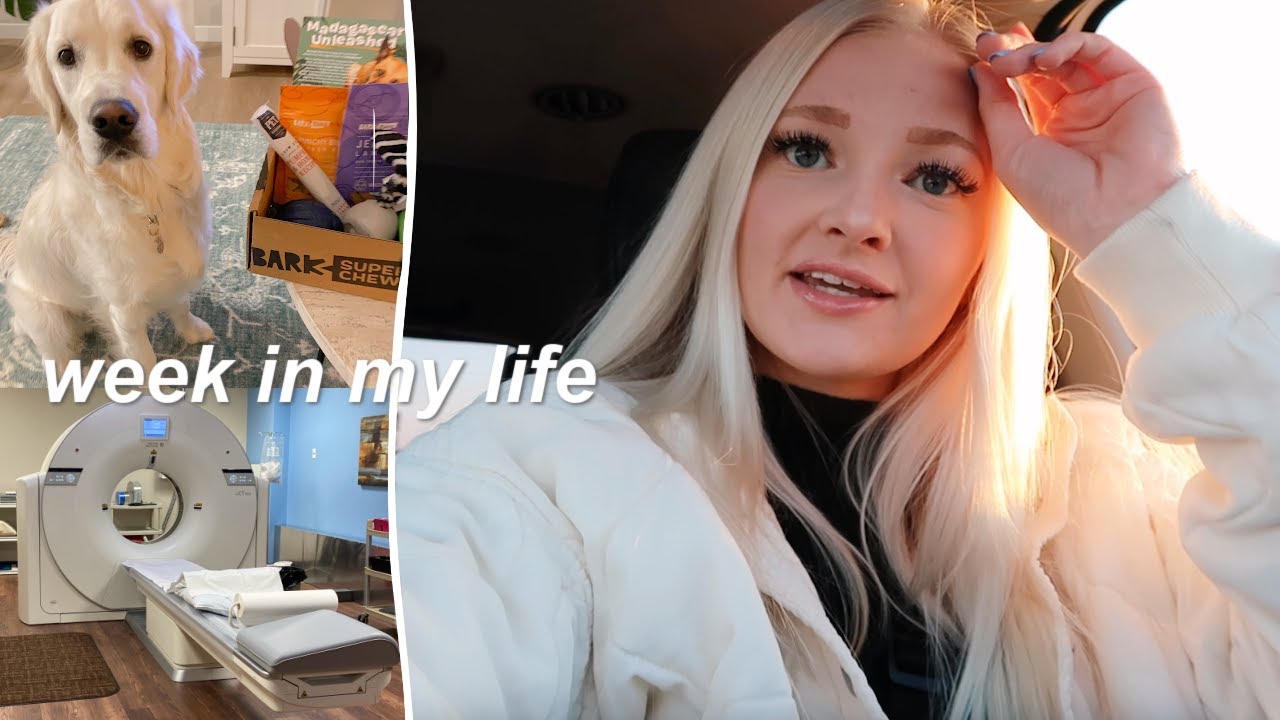 a week in the life vlog