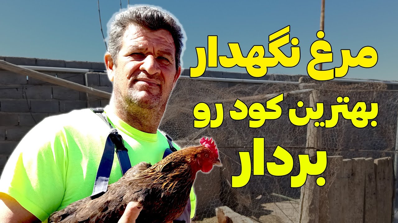 اگر مرغ یا کفتر داری از این ترکیب کود استفاده کن 😎