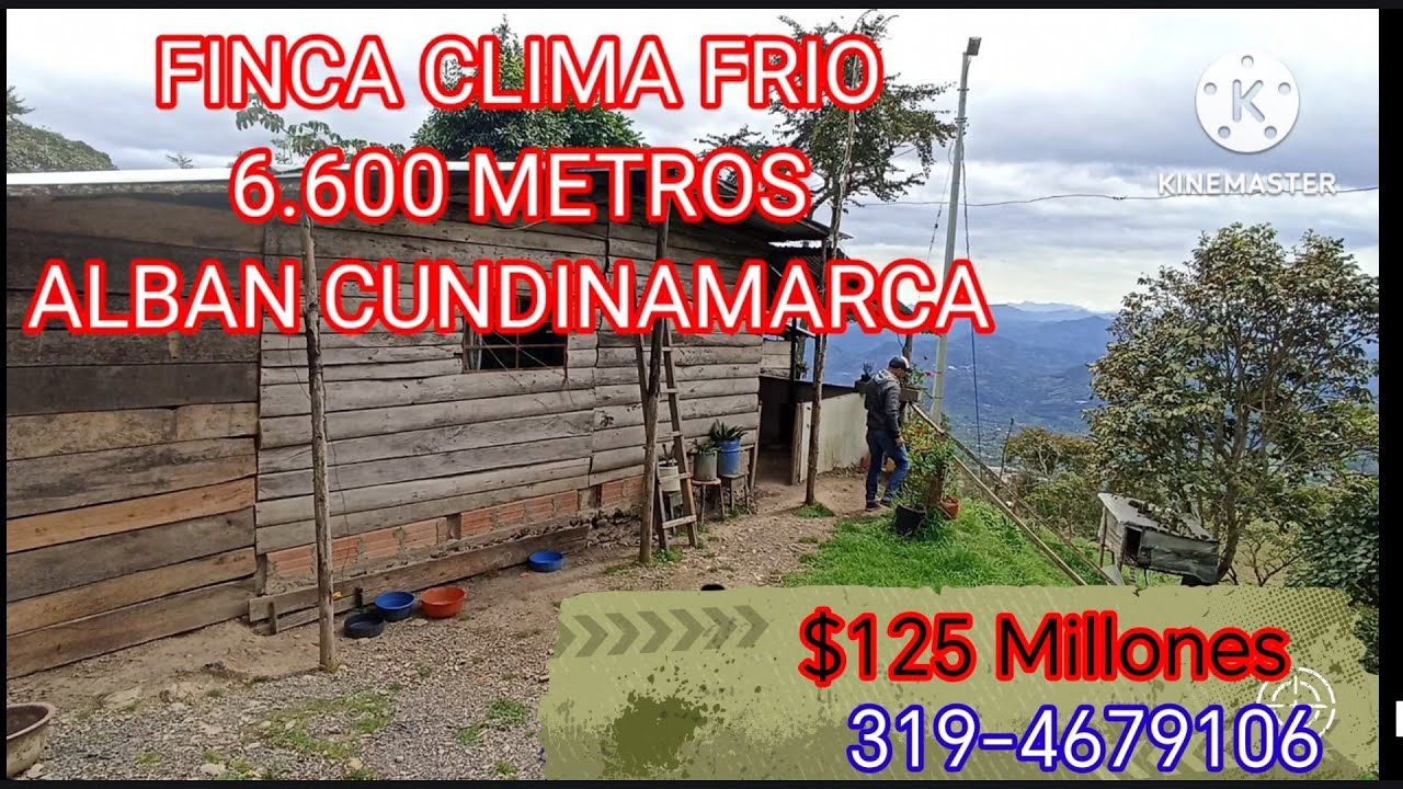 💲$125 Millones.. (FINCA EN ALBÁN CLIMA FRÍO 6mil metros) 319-4679106