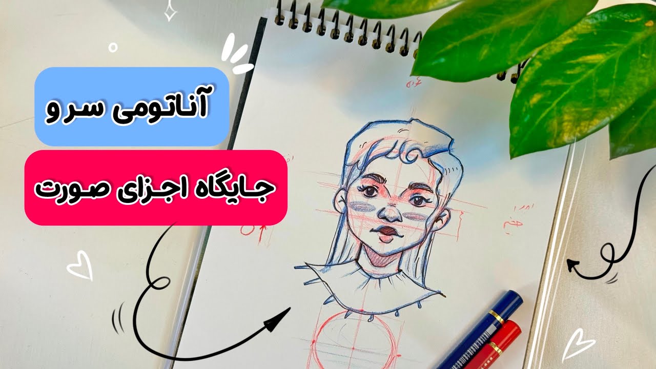 آناتومی سر و جایگاه اجزا صورت در کاراکترسازی #اموزش_نقاشی #کاراکتر #تصویرسازی #نقاشی_ساده #مدادرنگی