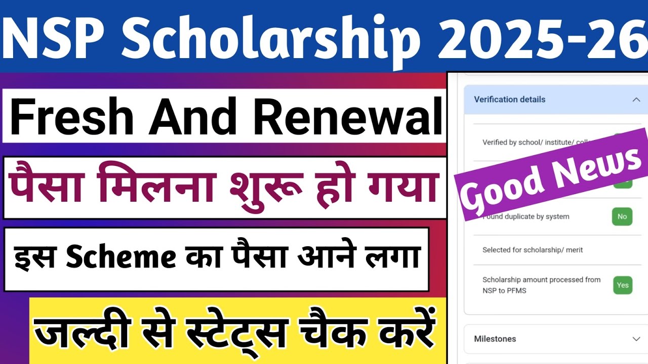 NSP Payment 2025-226 | Payment Credit | Fresh And Renewal Payment | Paisa Aane Laga | NSP Payment 