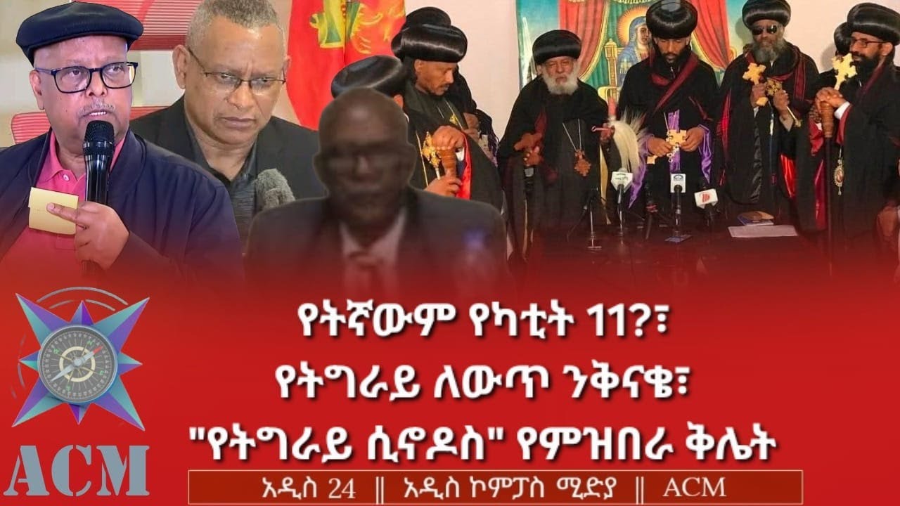 የትኛውም የካቲት 11?፣ የትግራይ ለውጥ ንቅናቄ፣ 