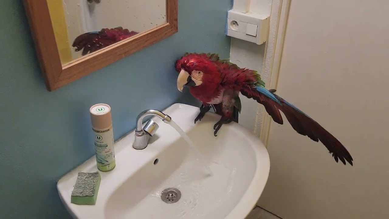 Ma fifille Jackson prend sa douche au bureau. 