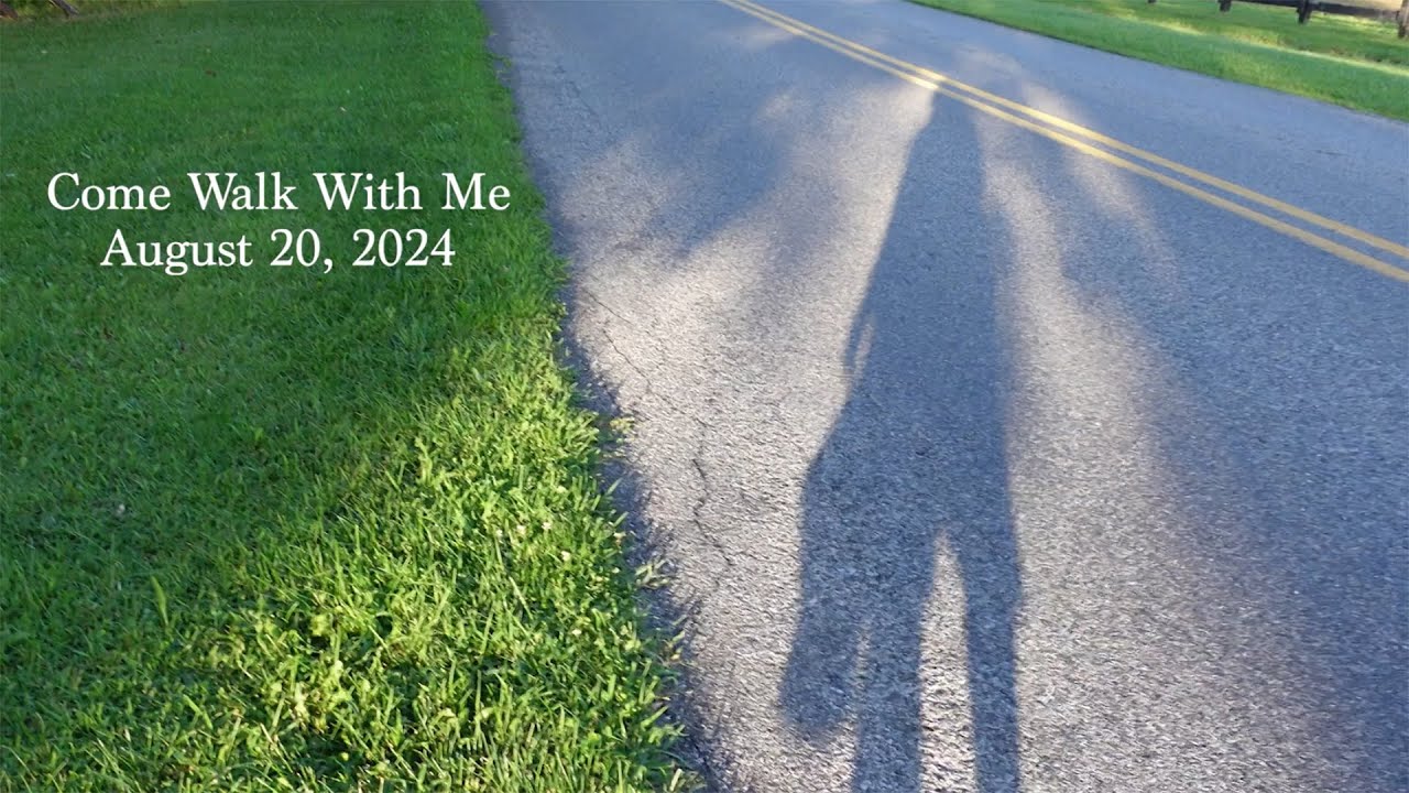 Come Walk With Me August 20, 2024 The importance of Art Community