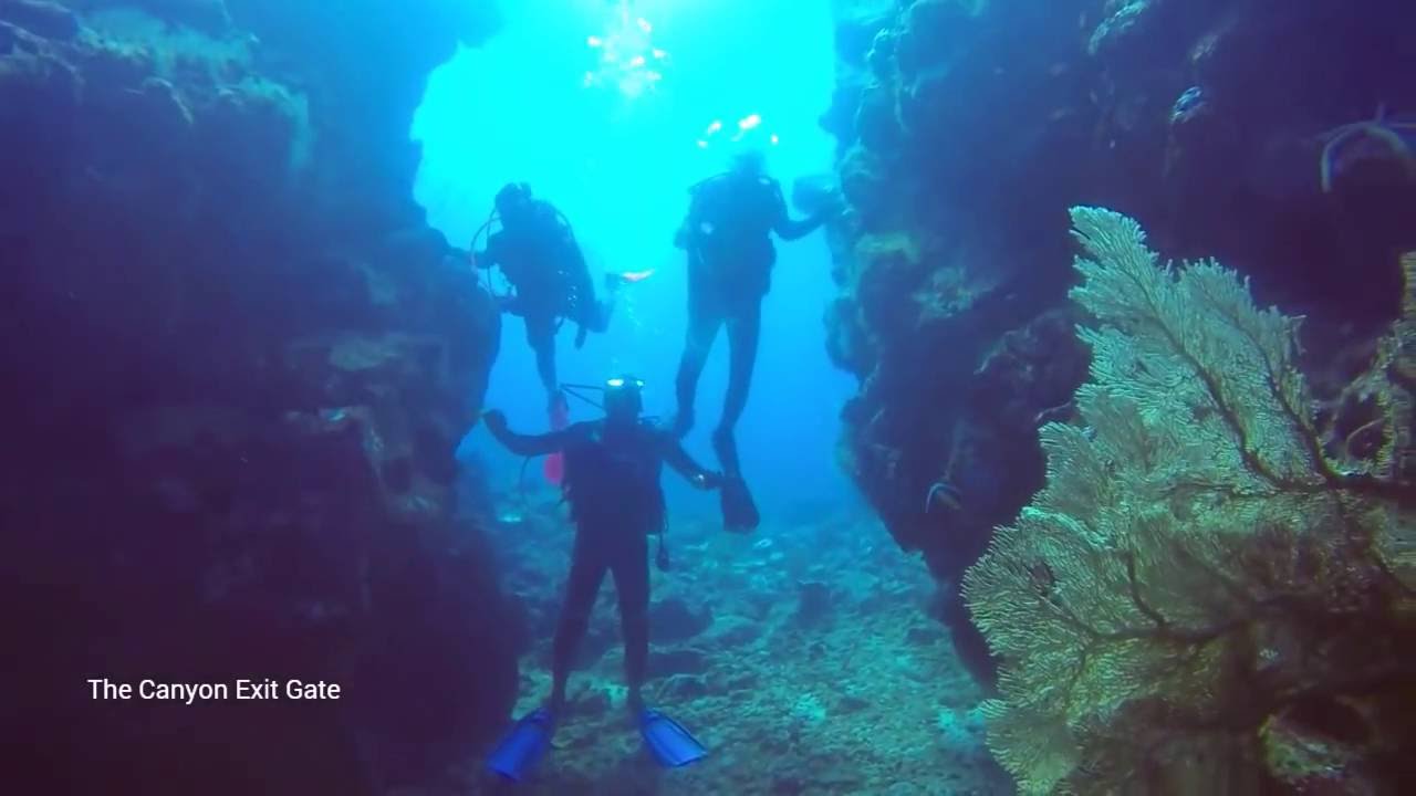 Scuba Diving Sabang, Pulau Weh; The Canyon