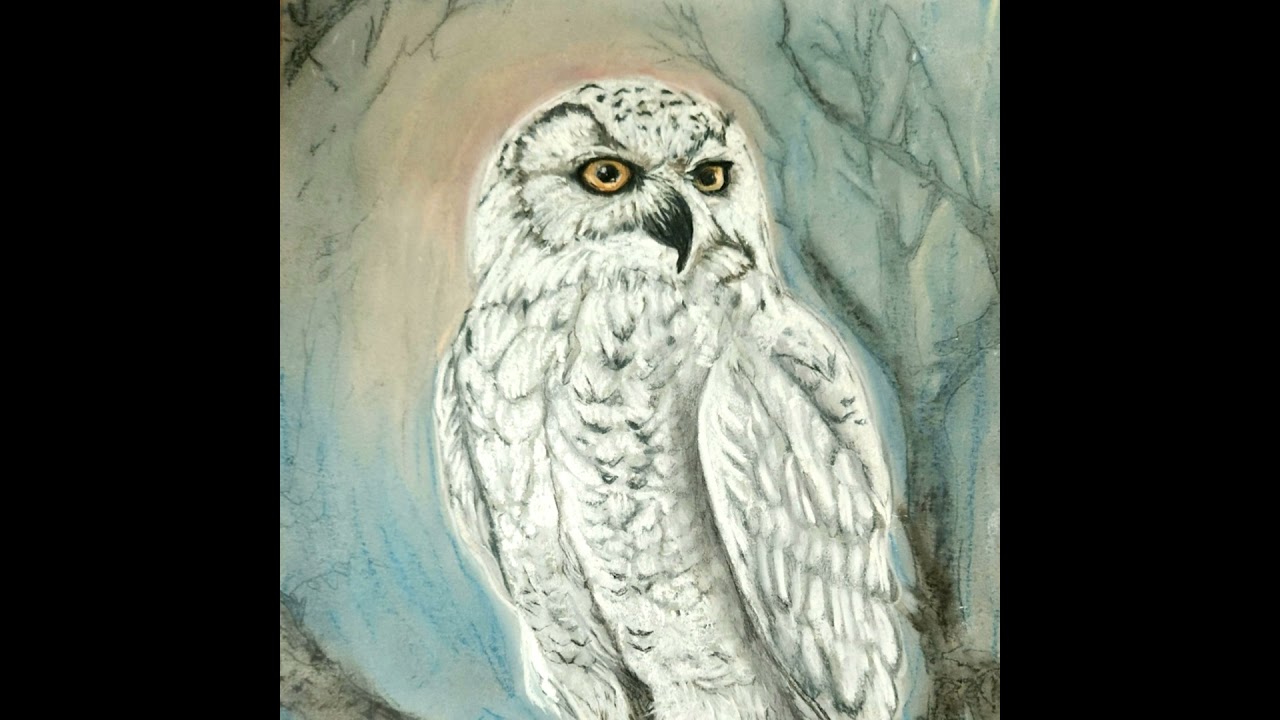 Childrens Bedtime Story | Athena and the Owl Who Watched the Night