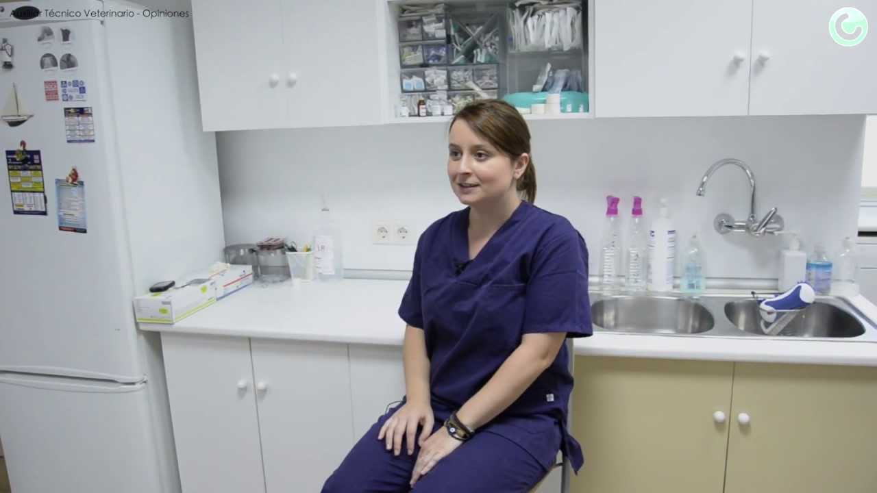 La experiencia de Sonia, Ayudante Técnico Veterinario