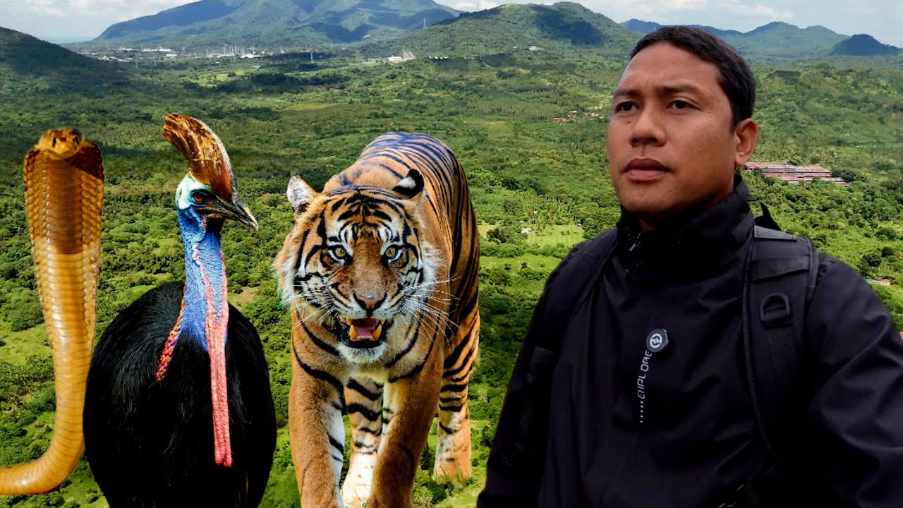 Mababangis na hayop ang makikita mo dito sa bundok ng laguna.