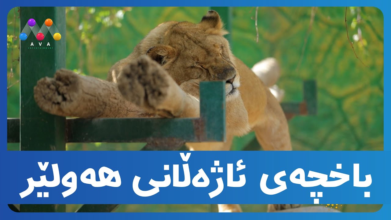 گەشتی گولستان بۆ باخچەی ئاژەڵانی هەولێر