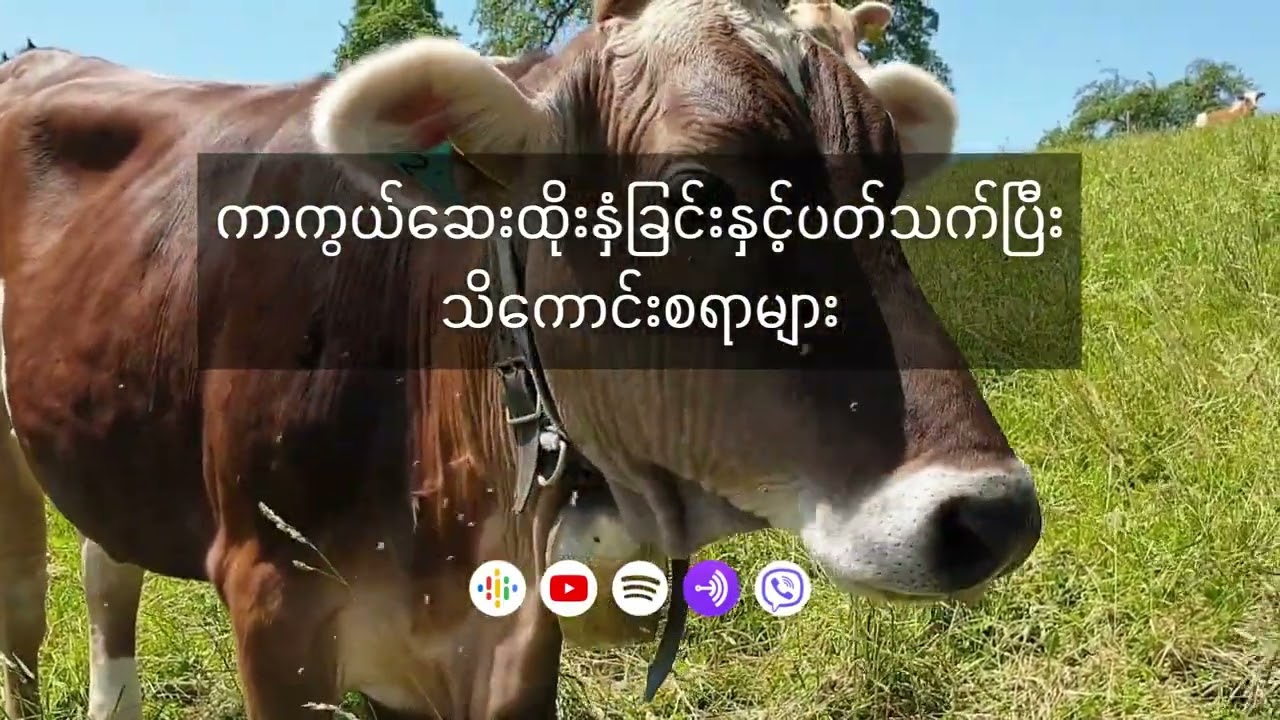 ကာကွယ်ဆေးထိုးနှံခြင်းနှင့်ပတ်သက်ပြီး သိကောင်းစရာများ