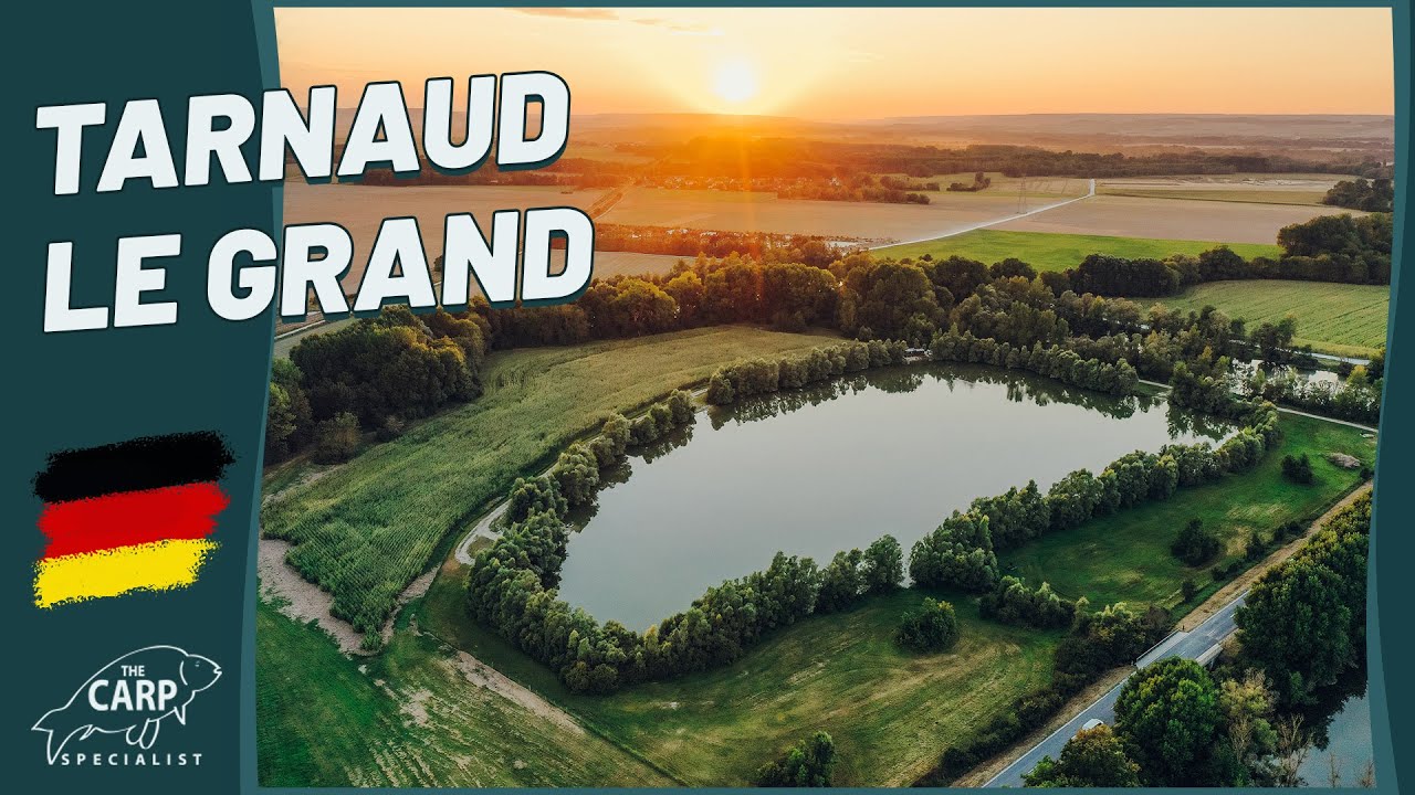 Karpfenangeln am Lac du Grand Tarnaud – Luxus pur, viele Liveruns und ein schöner Koi!