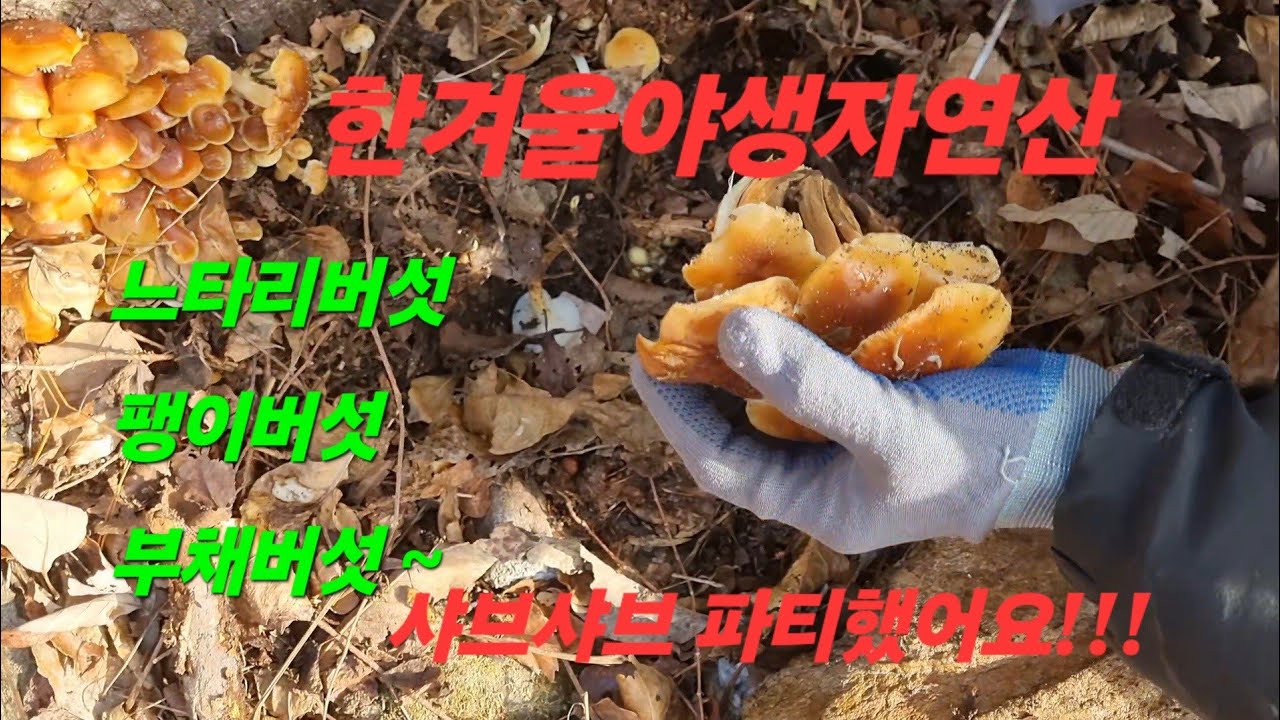 동지날 동네분들과 자연산버섯 샤브샤브 파티 함께했어요!!!20251222