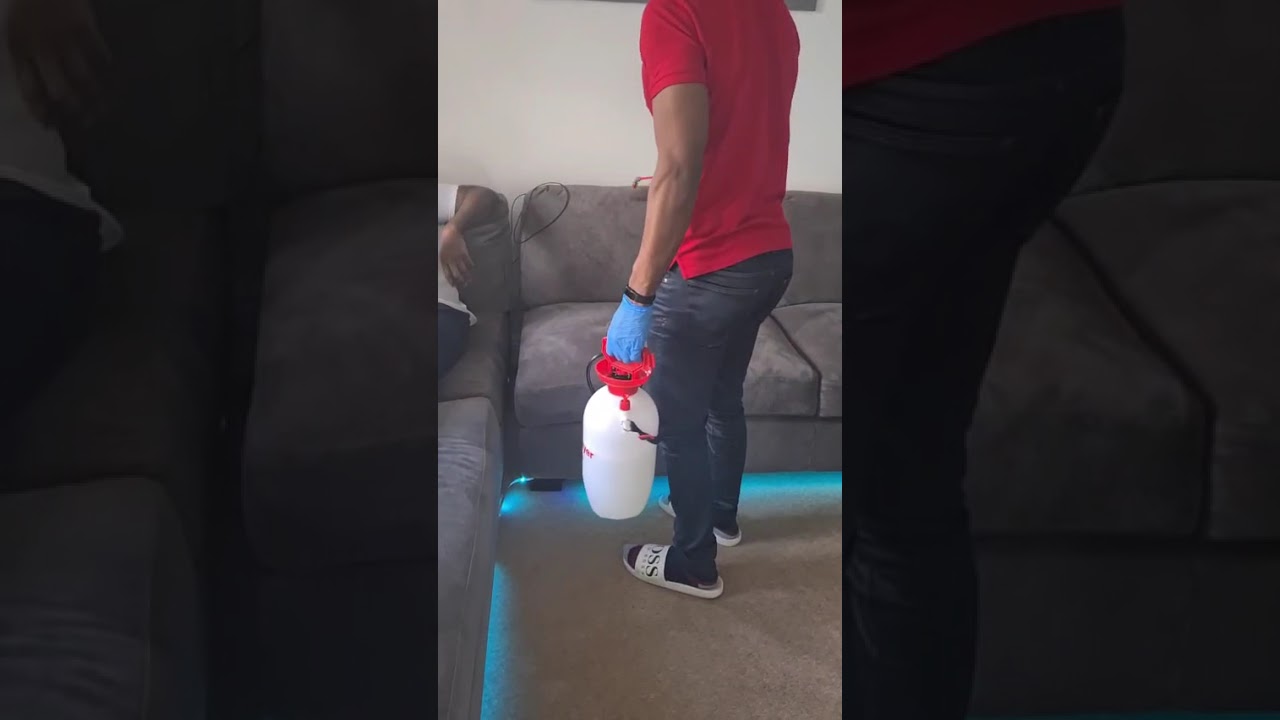 Carpet Cleaning 