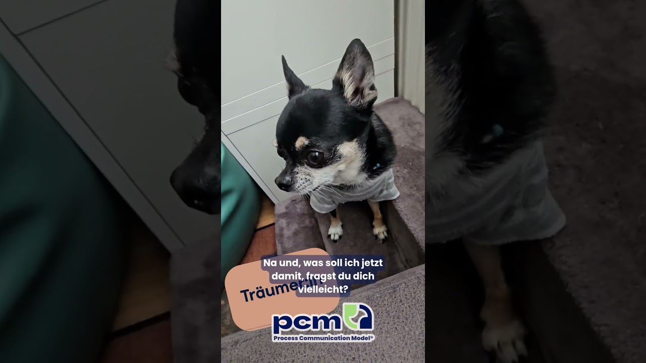 TEST: Mit welchem Kommunikationstyp hast Du es hier zu tun & wie musst Du ihn am besten ansprechen?