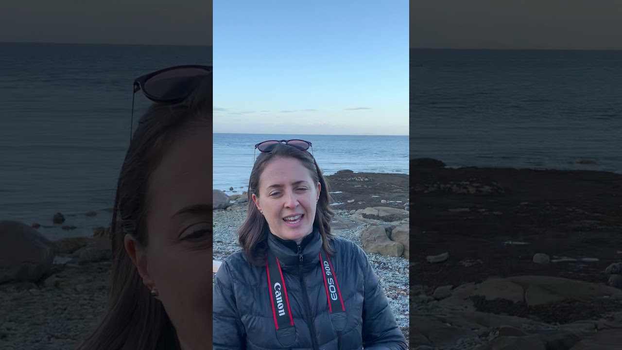 Buscando osos en Canad&aacute;