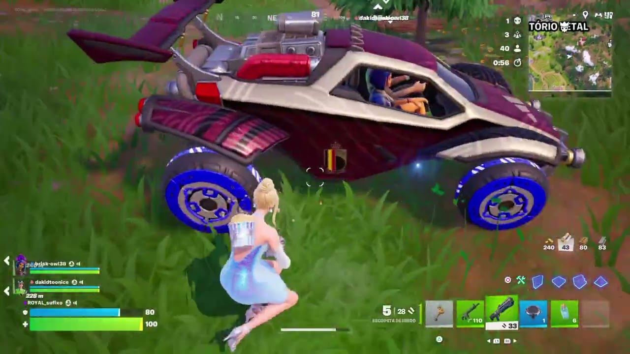 Fortnite_Digzin013 com meus amigos