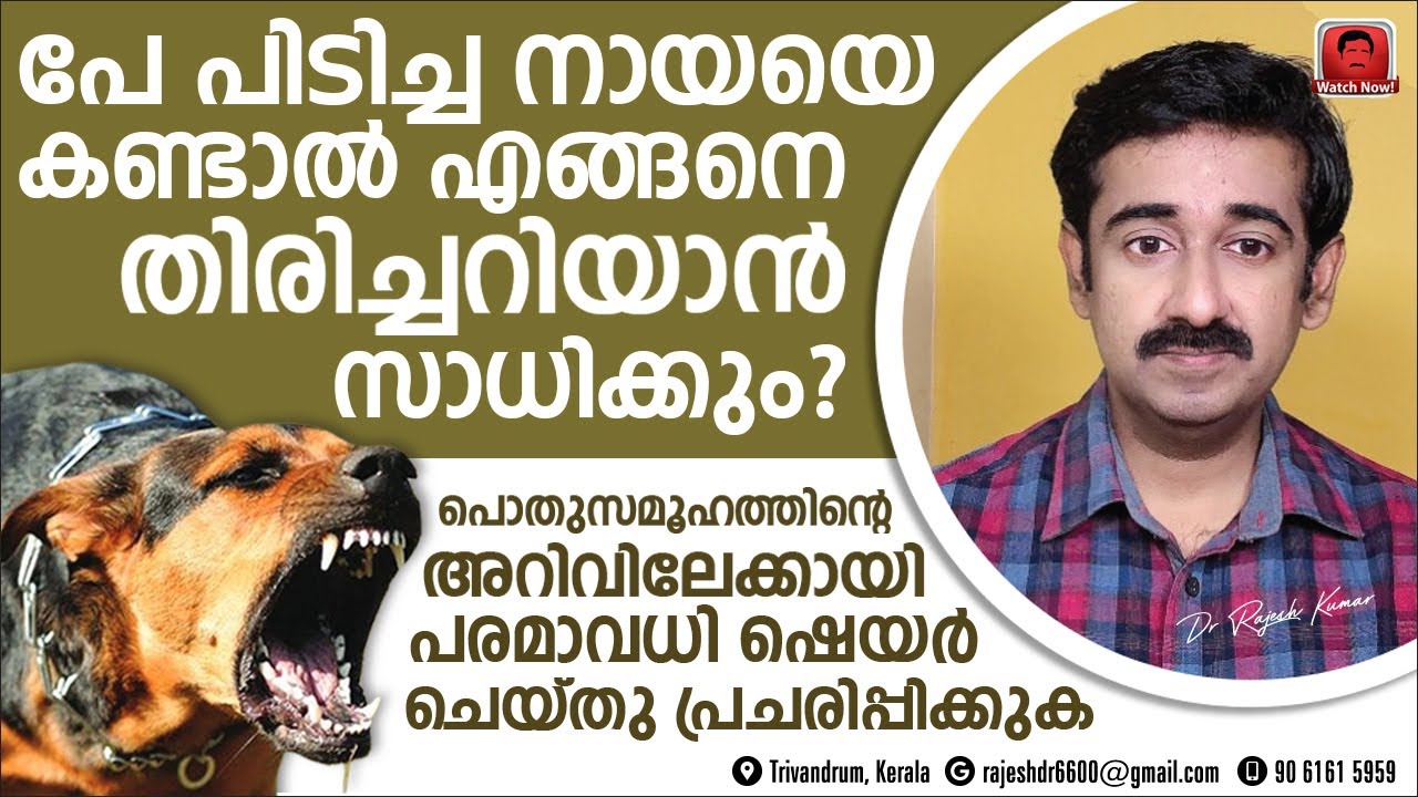 പേപിടിച്ച ഒരു നായയെ കണ്ടാൽ എങ്ങനെ തിരിച്ചറിയാൻ സാധിക്കും ? പരമാവധി ഷെയർ ചെയ്തു പ്രചരിപ്പിക്കുക