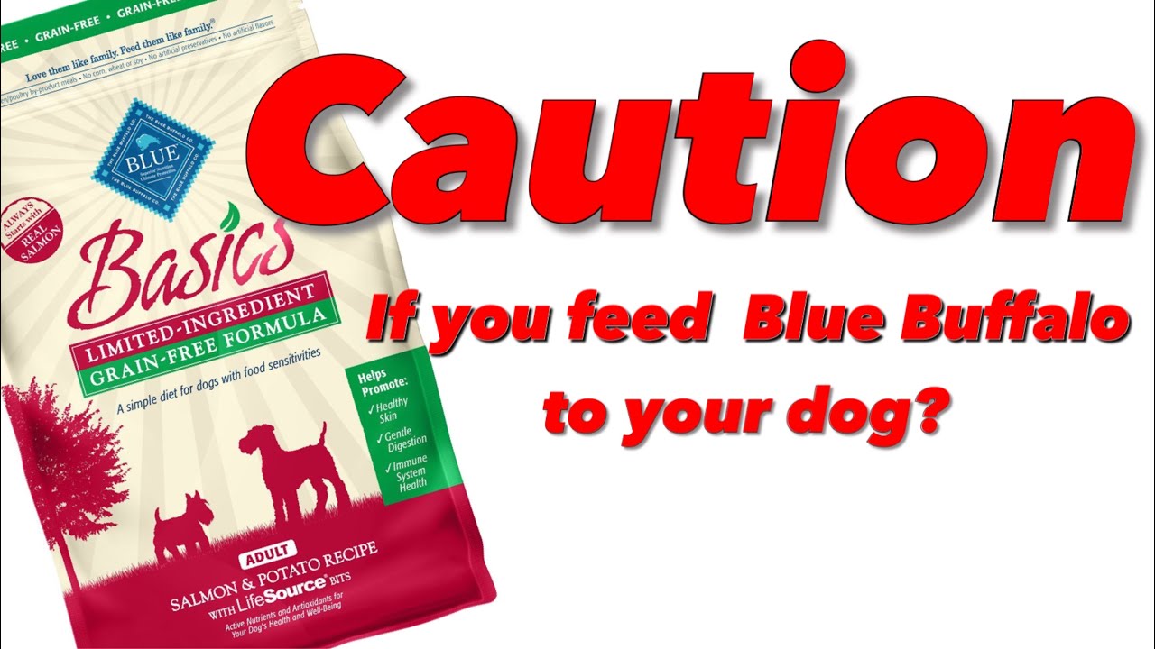 FOUND THIS IN A BAG OF BLUE BUFFALO DOG FOOD