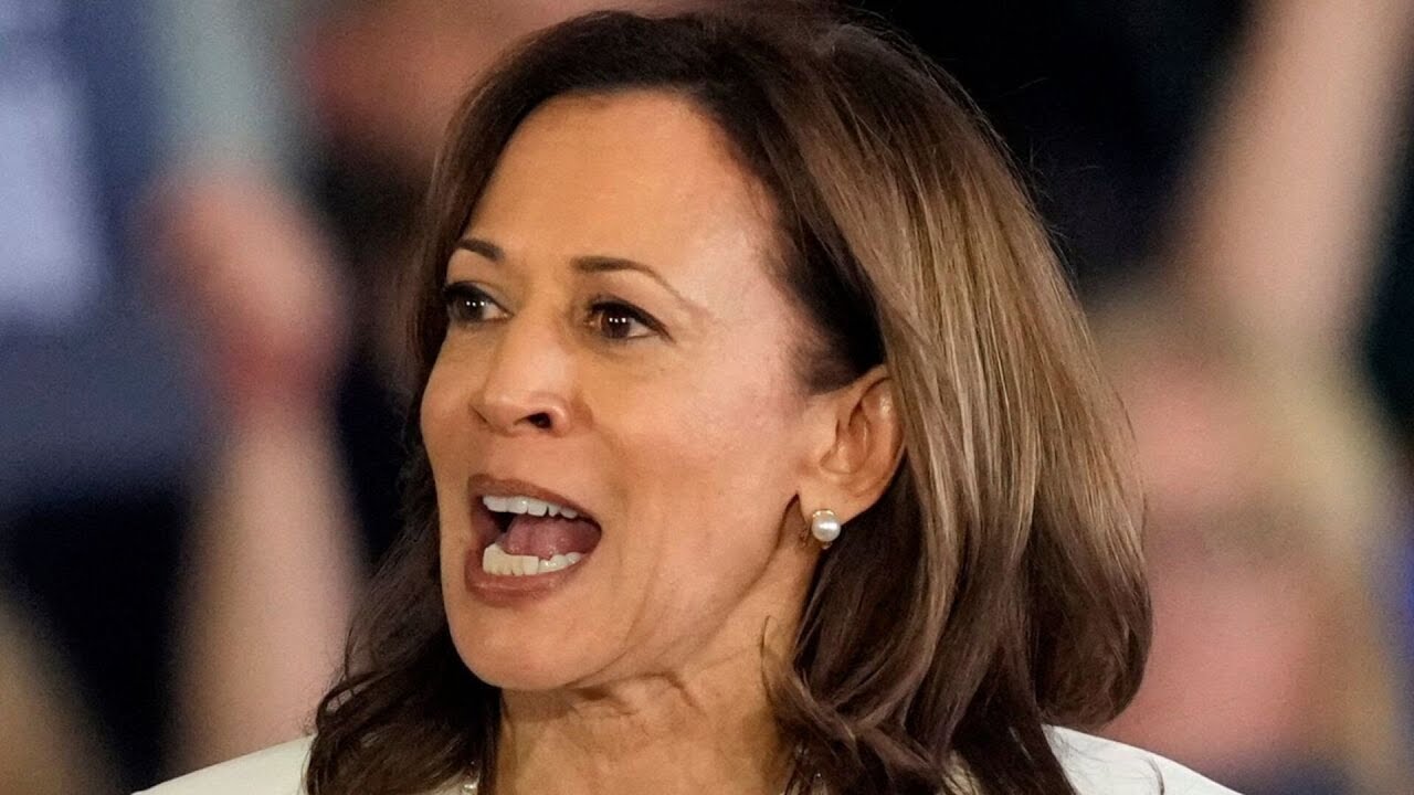 ‘Outrageous’: Kamala Harris lashed for claims voter ID could block minority votes