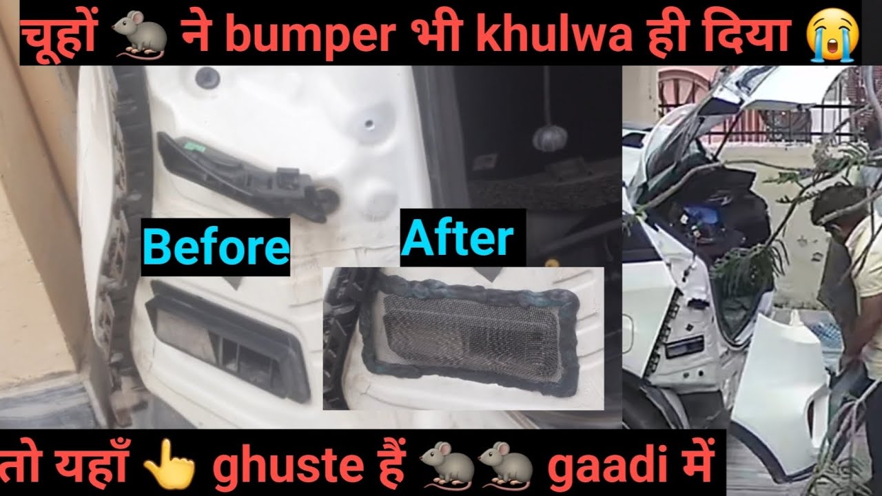 Finally! अब Nexon में 🐀🐀 ki Entry permanently बंद ❌️❌️