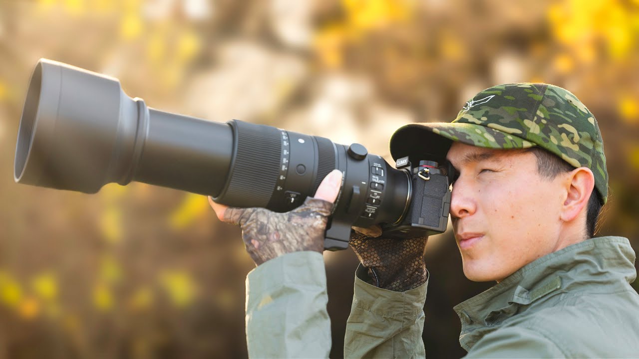 Обзор объектива Sigma 60-600mm для фотосъемки дикой природы и птиц