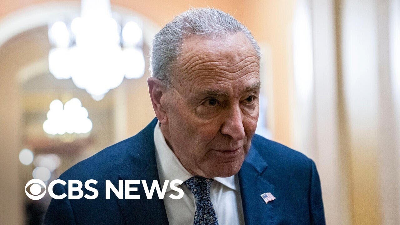 Schumer postpones book tour after backlash for supporting GOP funding bill