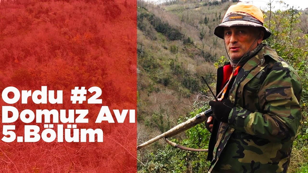 Ordu Domuz Avı 2 Ekip İşi 5.Bölüm Yaban Tv Wild Boar Hunting