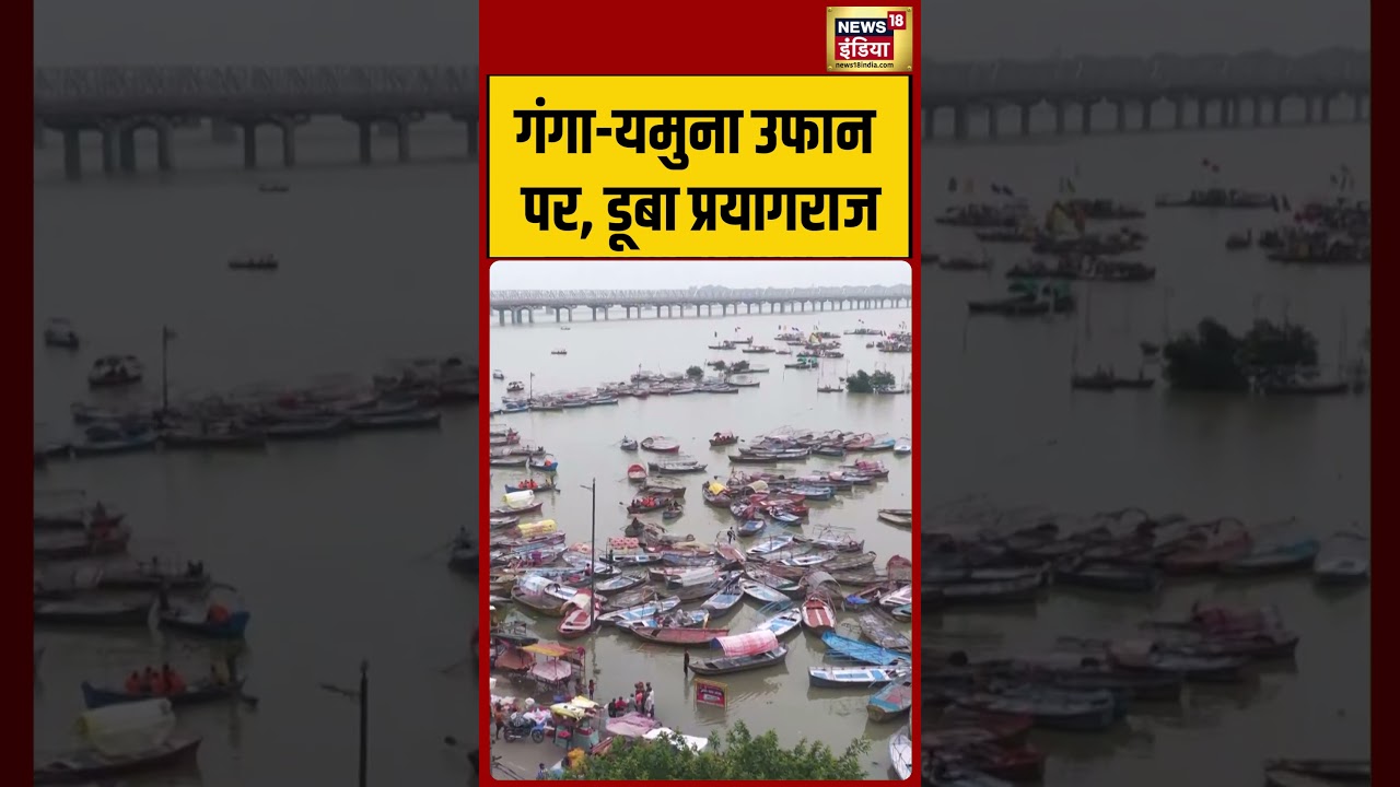 Prayagraj: गंगा यमुना उफान पर, डूबा प्रयागराज #viralvideo #viralshorts #viralnews #flood #ganga