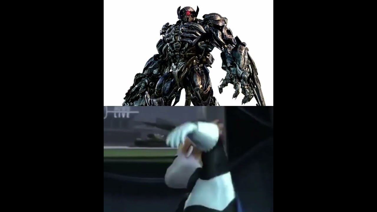 Shockwave Designs Ranked 
