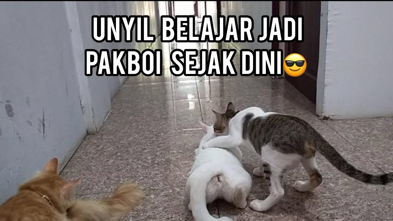 MASIH DRAMA OWIE INGIN......?????