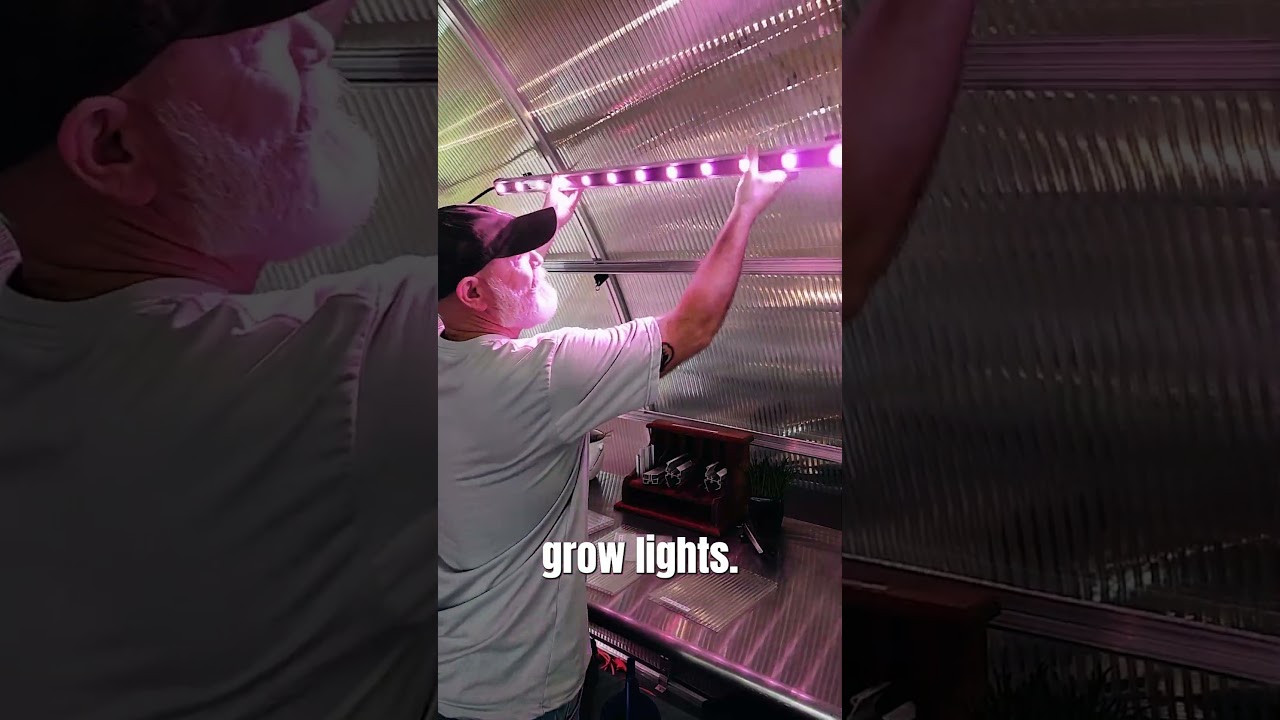 How To Install Accessories Like Grow Lights in a Greenhouse