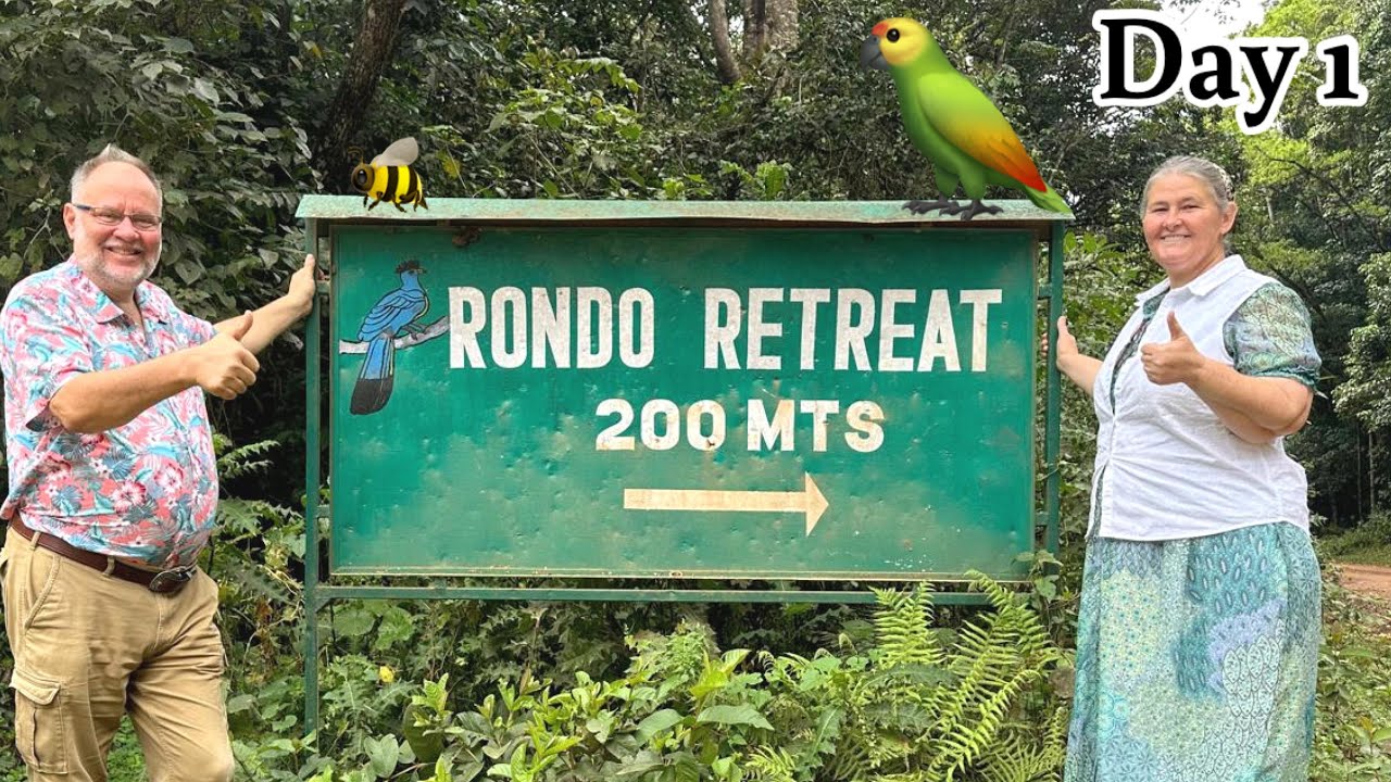 African Crowned Eagle | Day 1 In Rondo | Beckys Birthday Trip | Kakamega Rain Forest |￼ Bird Lovers
