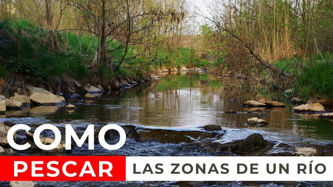 PESCA EN R&Iacute;OS (⚠️8 PARTES que TIENES que PESCAR CON MOSCA🏆 MIRA EL V&Iacute;DEO) 🎣🐟 | FLY FISHING