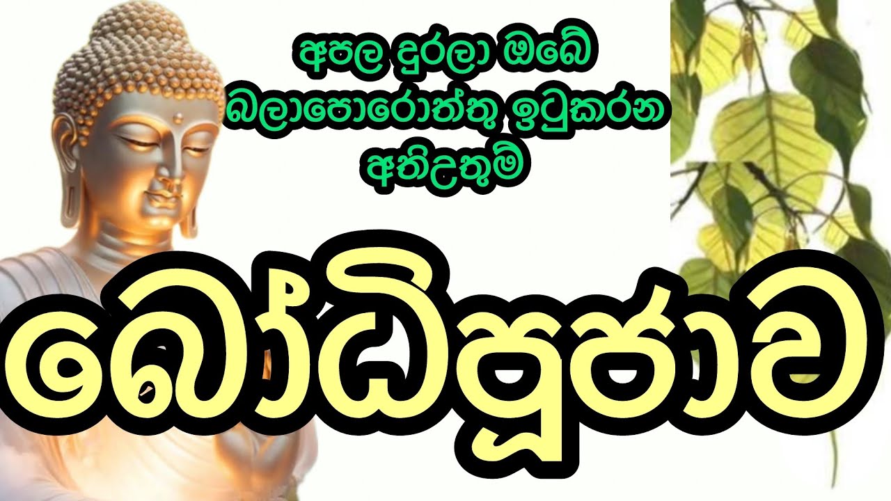 ආශිර්වාදාත්මක බෝධි පූජාව / Bodhi Pujawa #bodhipuja #osakajagoda #pirithsinhalafull