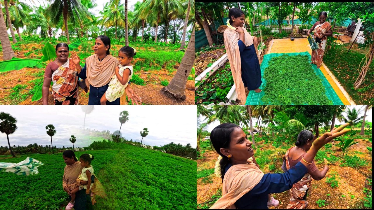 A Day in the Life of IndiaKutty From Sunrise to Sunset, Witnessing Simple Joys  🥰🙏🏻 INDIAKUTTY