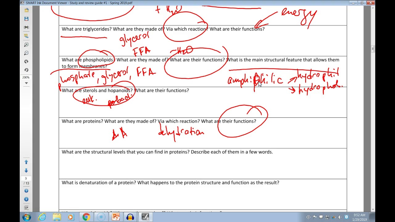 Study guide #1 review