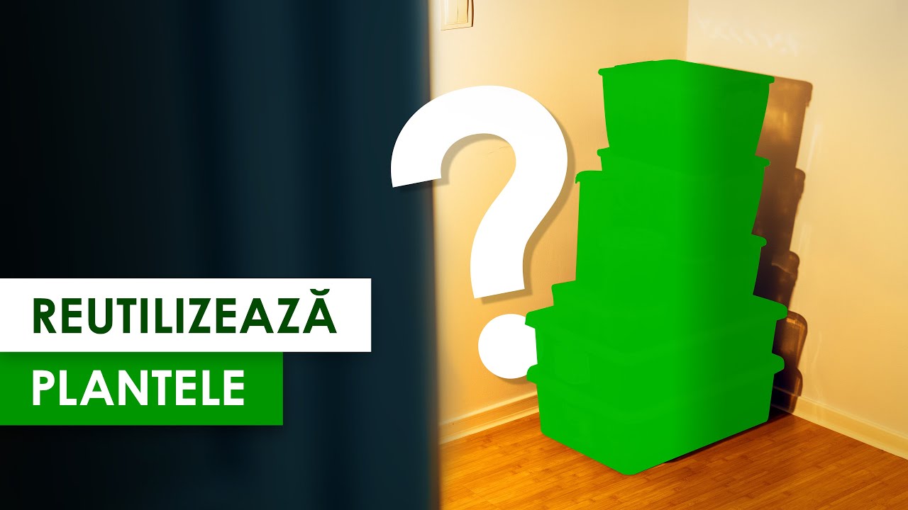 Cum să DEPOZITEZI PLANTELE din acvariu?
