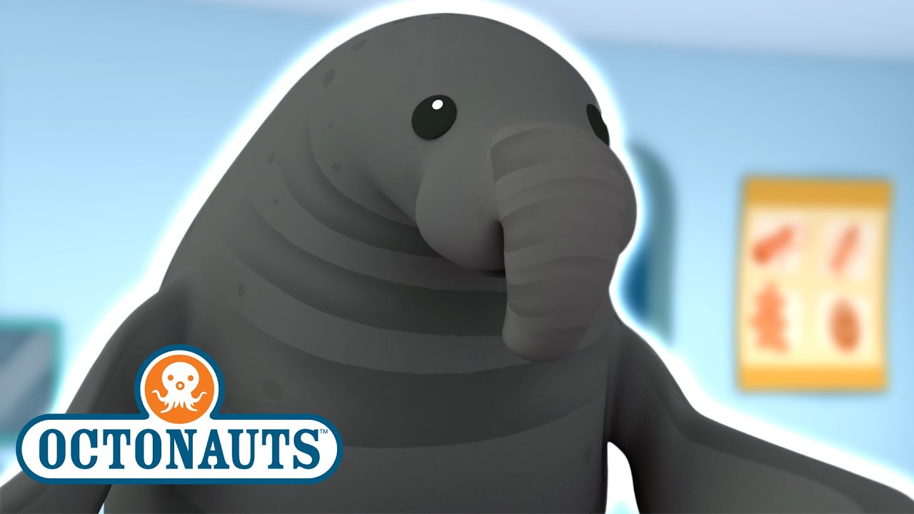 @Octonauts - The Enormous Elephant Seal | Full Episode 29 | @Kidzuko